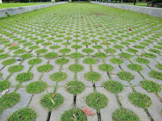 鋪設在路面的植草磚