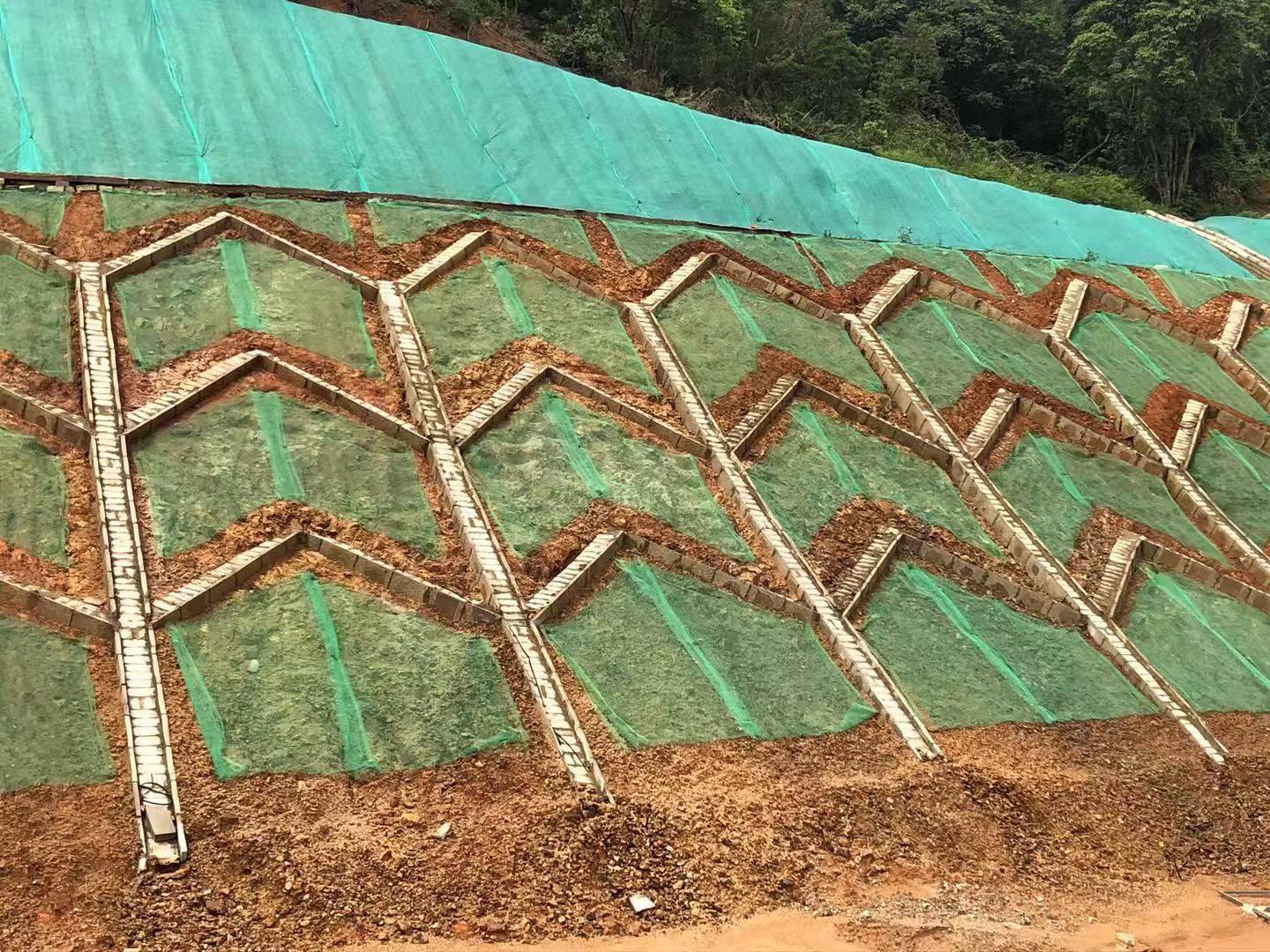 人字形水泥骨架護坡