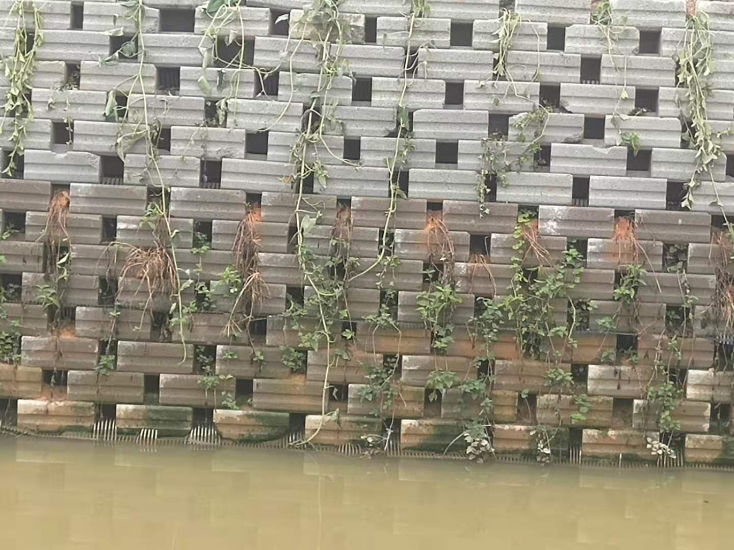 安裝好的生態(tài)磚